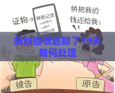 蚂蚁借呗逾期了15天如何处理