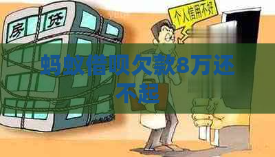 蚂蚁借呗欠款8万还不起