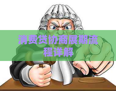 消费贷协商展期流程详解