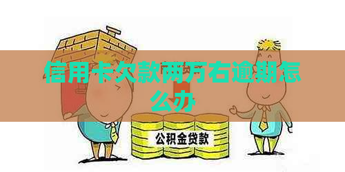 信用卡欠款两万右逾期怎么办