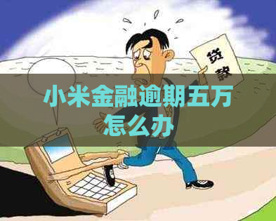 小米金融逾期五万怎么办