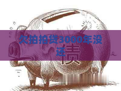 欠3000年没还