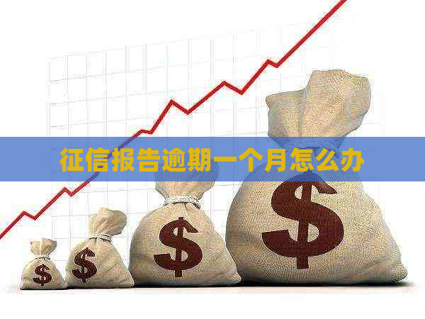 报告逾期一个月怎么办