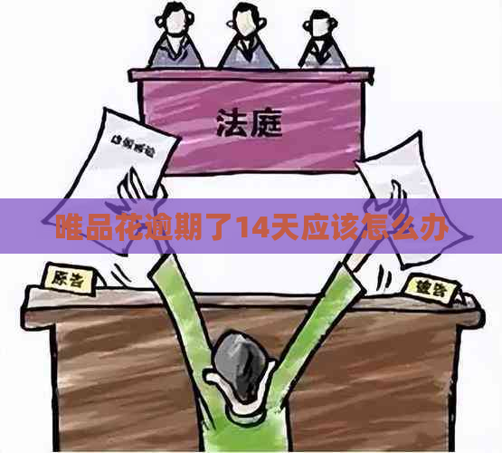 唯品花逾期了14天应该怎么办