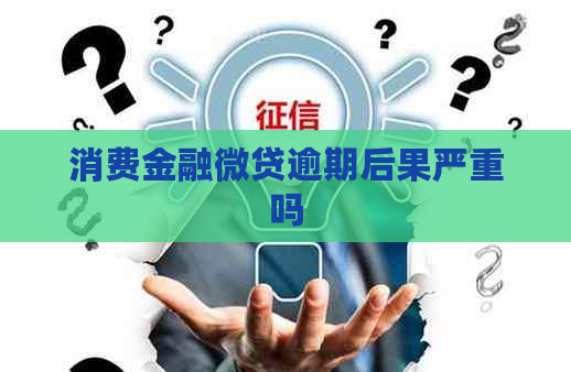消费金融微贷逾期后果严重吗
