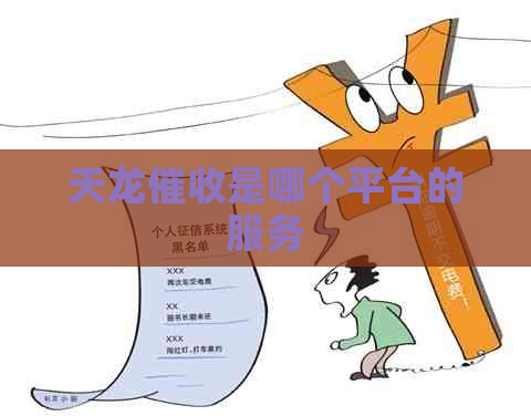 天龙是哪个平台的服务