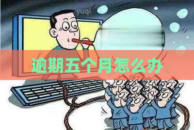 逾期五个月怎么办
