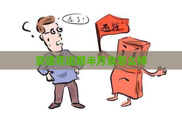 安逸花逾期半月会怎么样