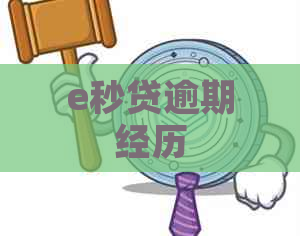 e秒贷逾期经历