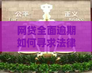 网贷全面逾期如何寻求法律援助