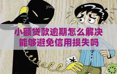 小额贷款逾期怎么解决能够避免信用损失吗