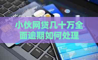 小伙网贷几十万全面逾期如何处理