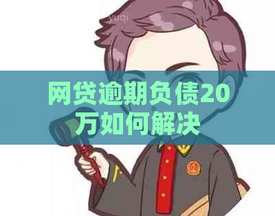 网贷逾期负债20万如何解决