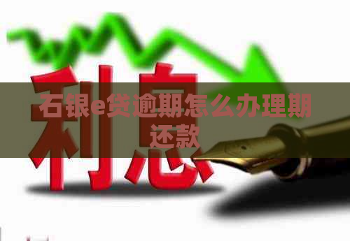 石银e贷逾期怎么办理期还款