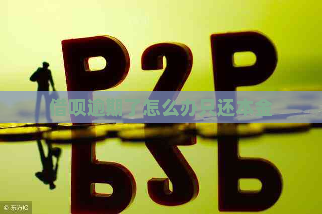 借呗逾期了怎么办只还本金