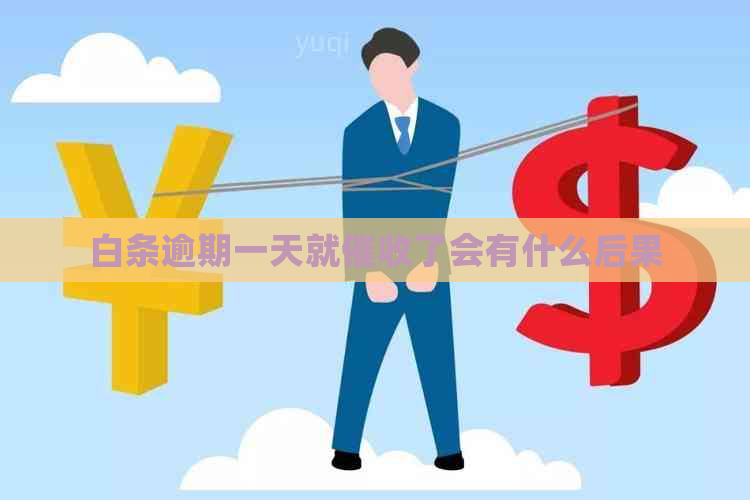 白条逾期一天就了会有什么后果