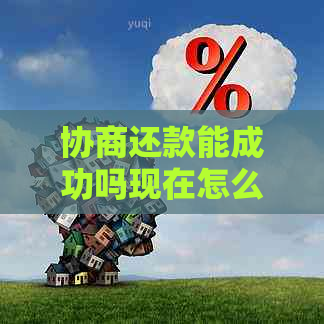 协商还款能成功吗现在怎么办