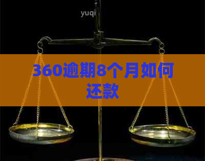 360逾期8个月如何还款