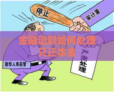 金融逾期如何处理只还本金
