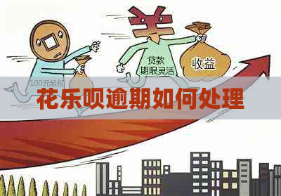 花乐呗逾期如何处理