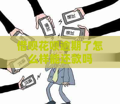借呗花呗逾期了怎么样能还款吗