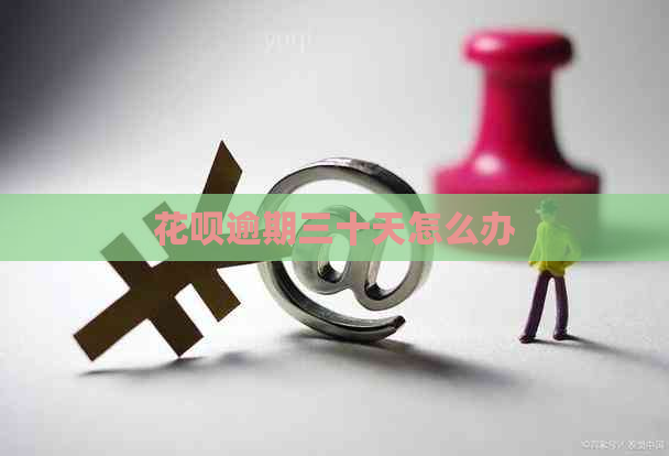 花呗逾期三十天怎么办
