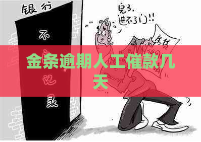 金条逾期人工催款几天