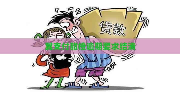 翼支付甜橙逾期要求结清