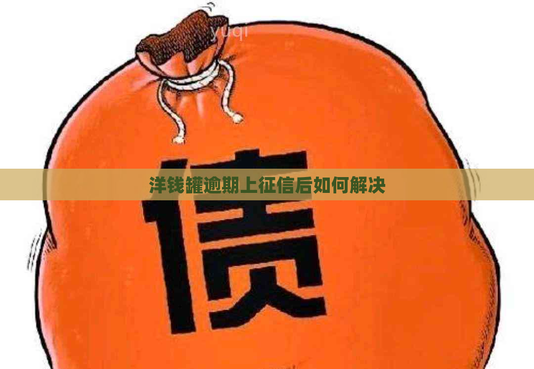 洋钱罐逾期上后如何解决