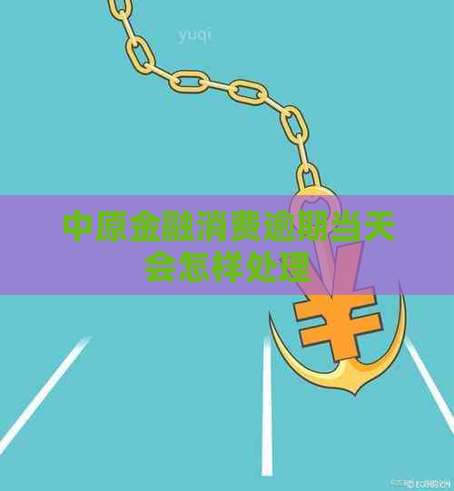 中原金融消费逾期当天会怎样处理