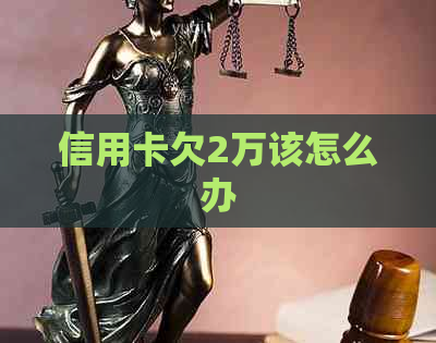 信用卡欠2万该怎么办
