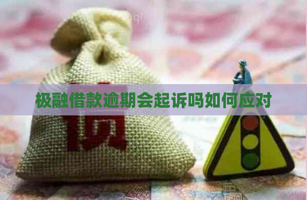 极融借款逾期会起诉吗如何应对