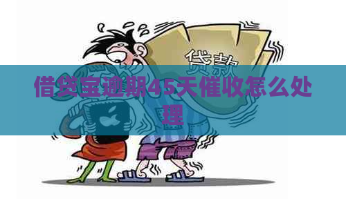 借贷宝逾期45天怎么处理