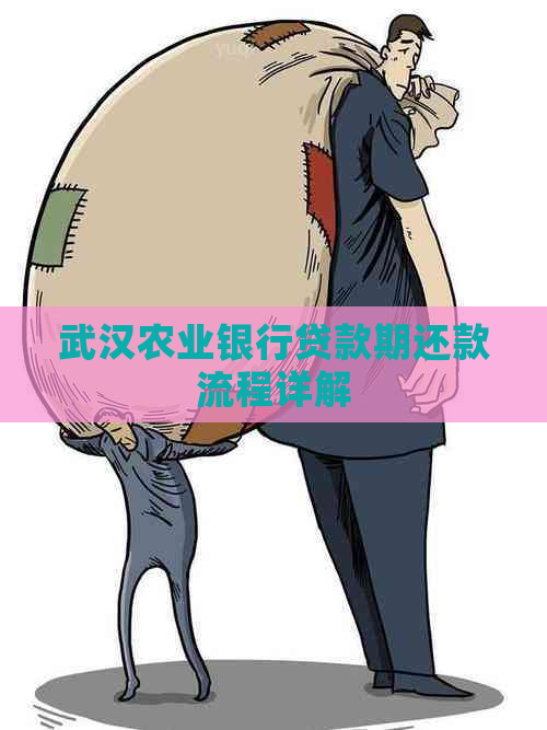 武汉农业银行贷款期还款流程详解
