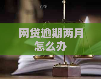 网贷逾期两月怎么办