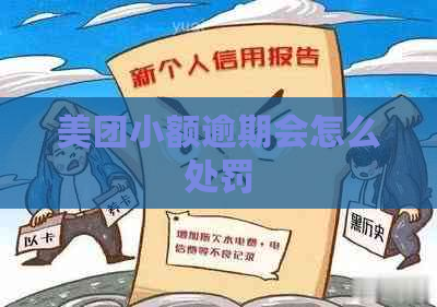美团小额逾期会怎么处罚