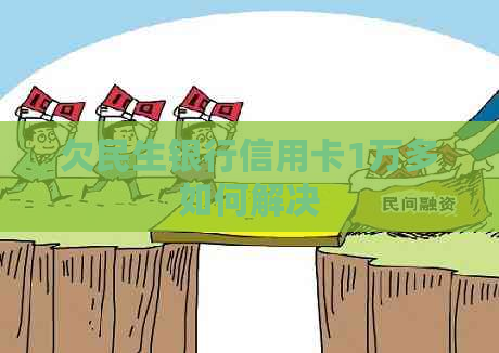 欠民生银行信用卡1万多如何解决