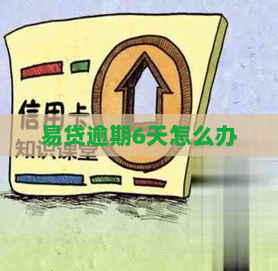 易贷逾期6天怎么办