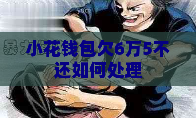 小花钱包欠6万5不还如何处理