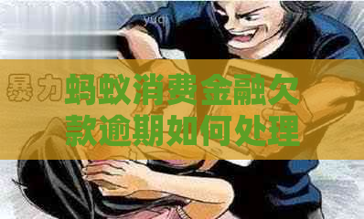 蚂蚁消费金融欠款逾期如何处理