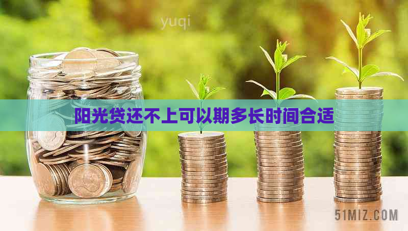 阳光贷还不上可以期多长时间合适