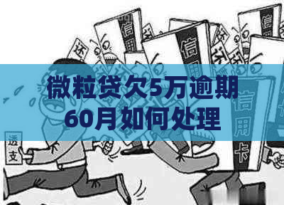 微粒贷欠5万逾期60月如何处理