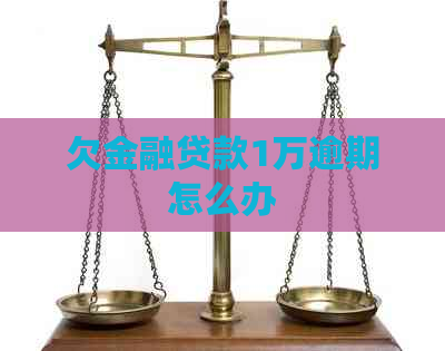 欠金融贷款1万逾期怎么办