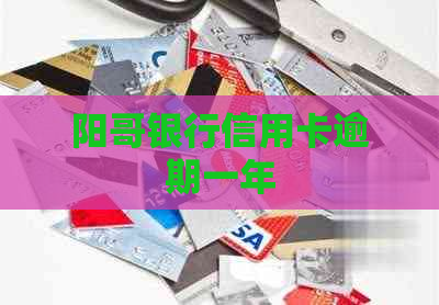 阳哥银行信用卡逾期一年