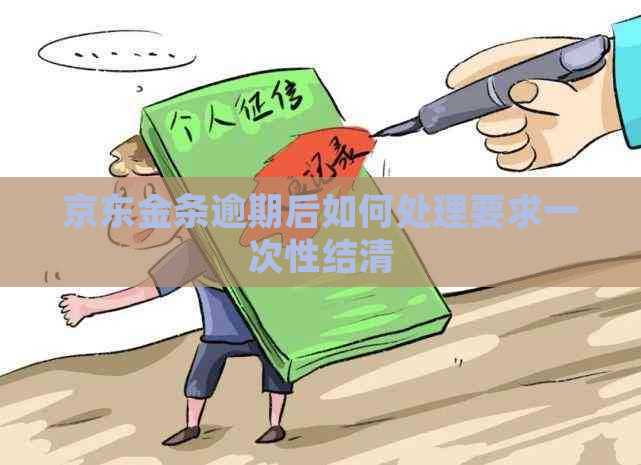 京东金条逾期后如何处理要求一次性结清