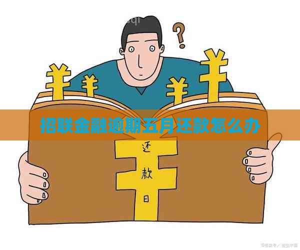 招联金融逾期五月还款怎么办