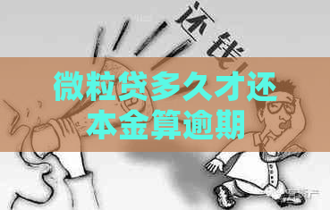 微粒贷多久才还本金算逾期