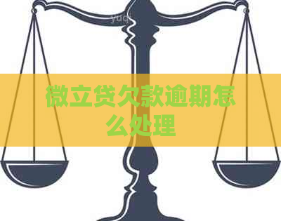微立贷欠款逾期怎么处理