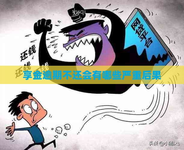 享金逾期不还会有哪些严重后果