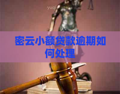 密云小额贷款逾期如何处理